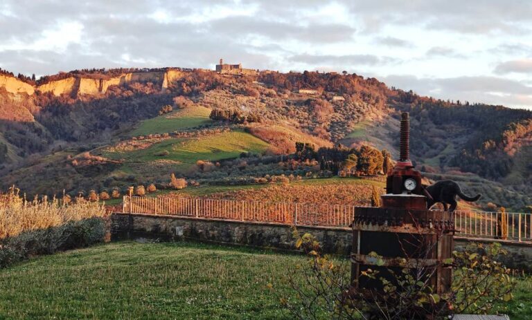The wonderful view of Volterra from Claudia's farm