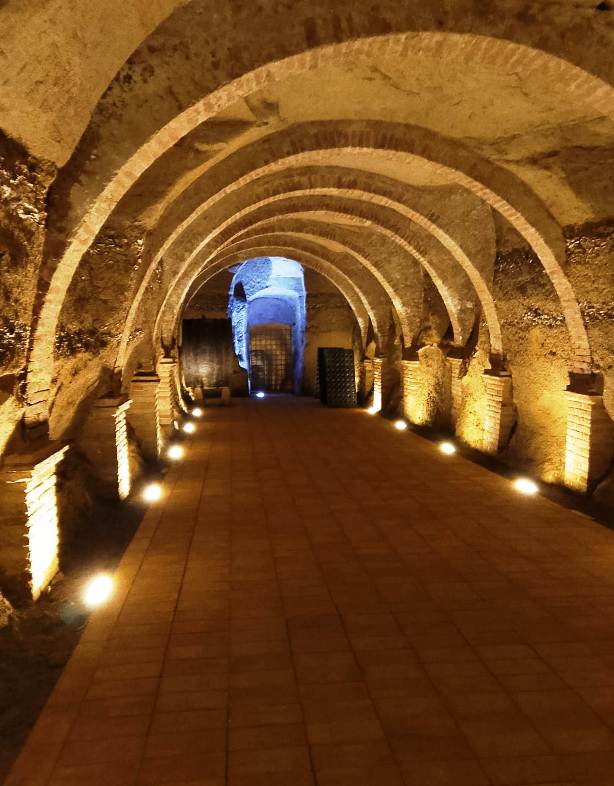 Visit to the best wineries of the area of Terricciola