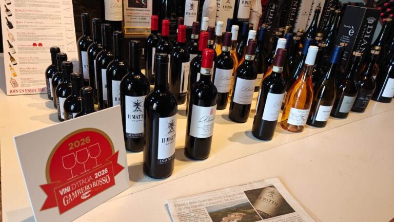 Wine experience near San miniato