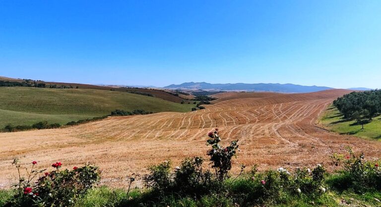One of the best view during our vespa tour experience