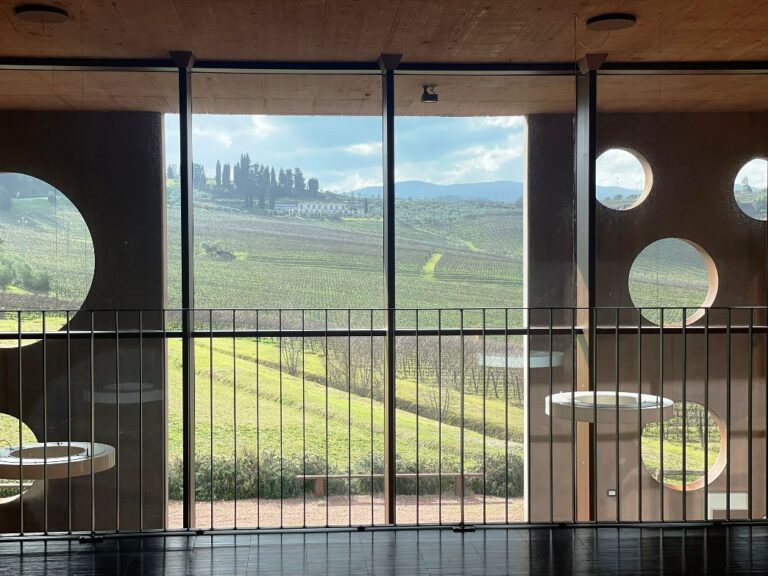 Typical cellar in the Terricciola wine district with view over the Pisan hills