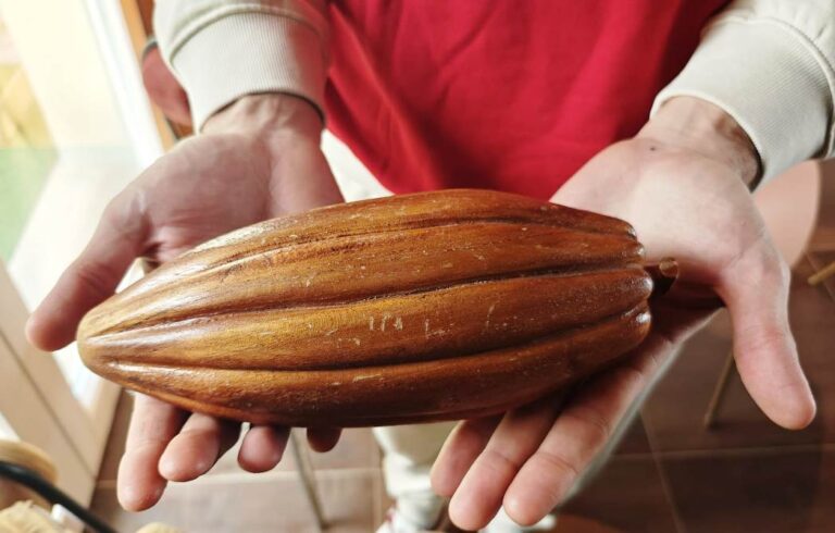 The very special chocolate fruits from where we make chocolate