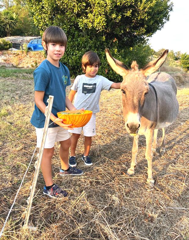 Children are offering our donkey Julietta the leftovers of the cooking class