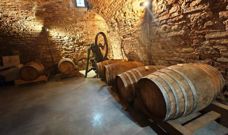 The little tonw of Vinci is not only famous for Leonardo but also for its excellent wine production
