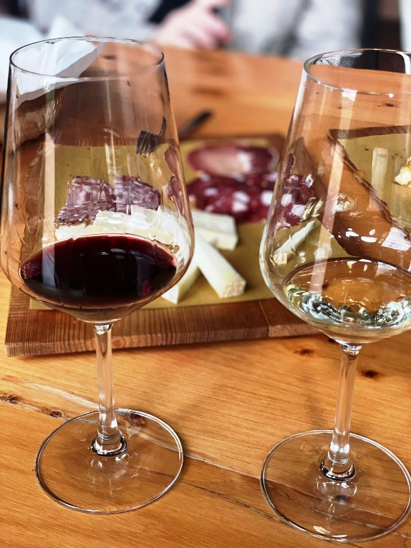A typical red and white wine served during a wine tasting experience in the Terre di Pisa area