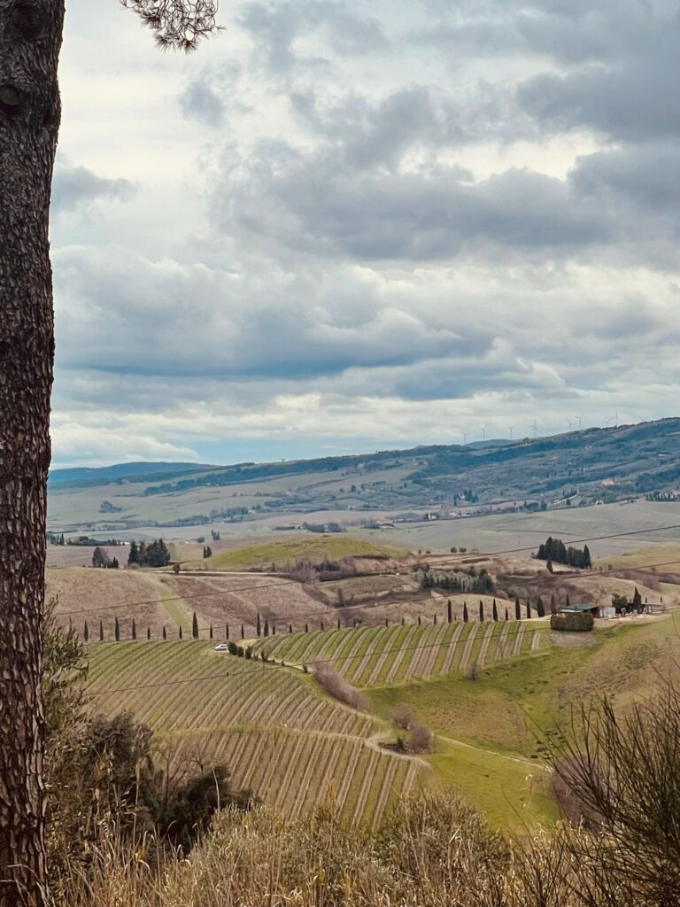 beautiful landscape