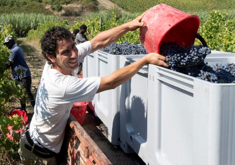 Francesco the wine maker