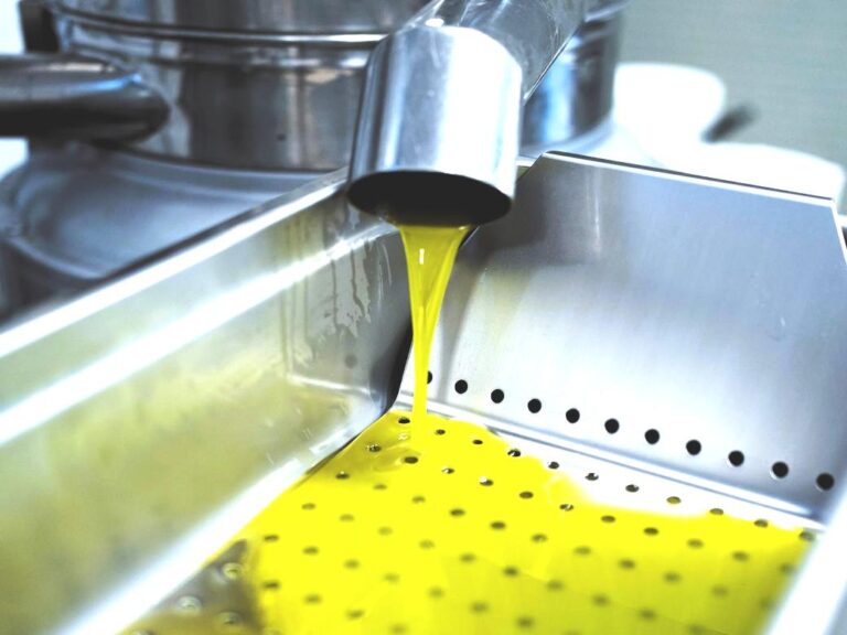 Typical Tasting of real extra virgin olive oil