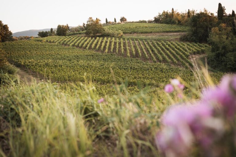 Tuscan countryside