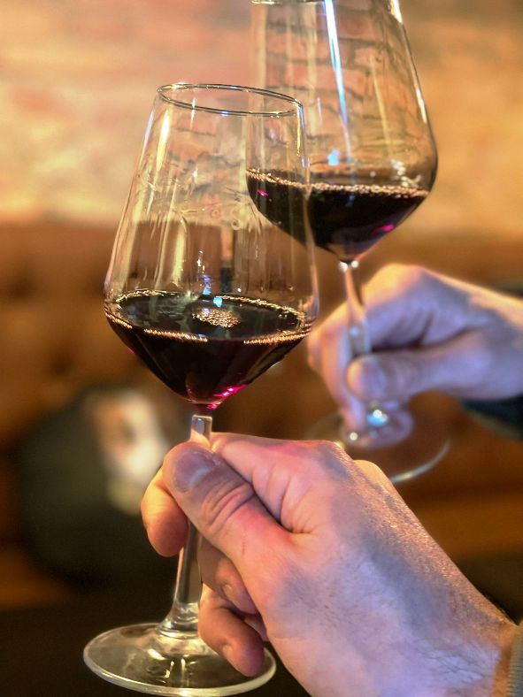 Guided wine tasting experience in the Terricciola wine district