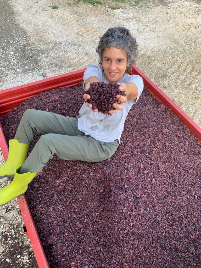 wine making