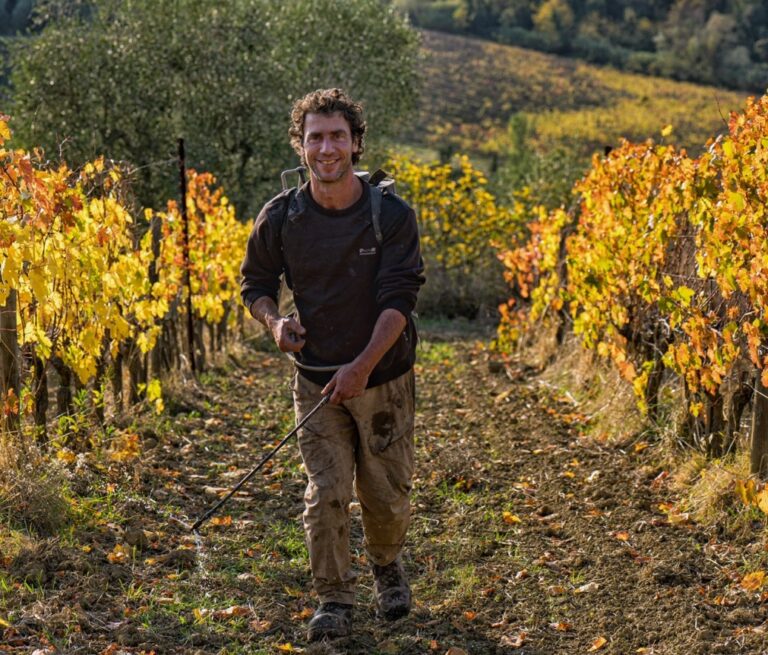 Visit to the winery in San Miniato with wine tasting