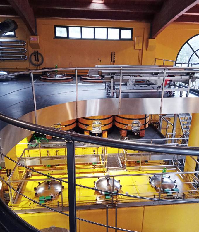 Wine experience in Riparbella for real wine lovers