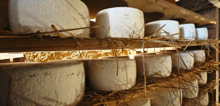 The very famous cheese grotto of Lari
