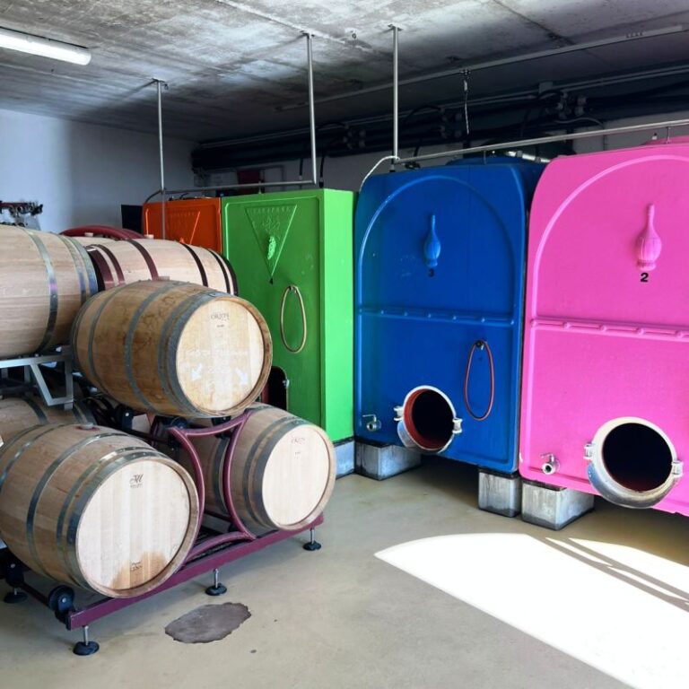 Duemani winery in Riparbella