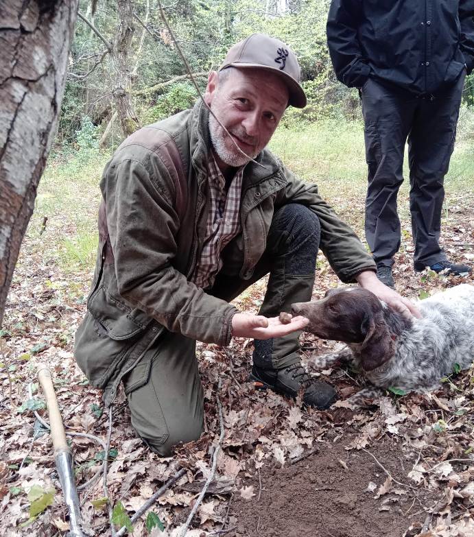 Truffle activity for small groups in the area of Volterra