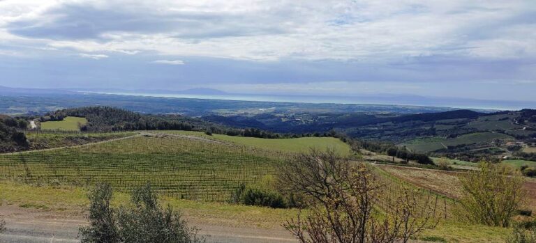 Etruscan coast and wine making
