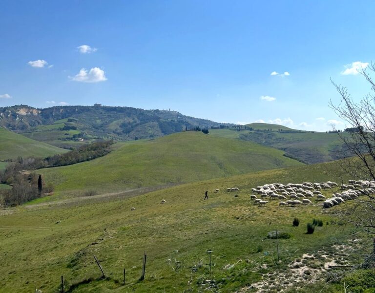 Arianna and Friends offers authentic experiences at the cheese farm near Volterra