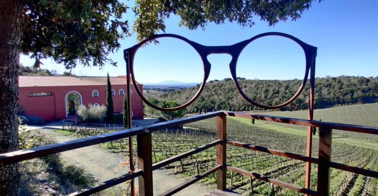 Tuscan estate and wine tour in Riparbella