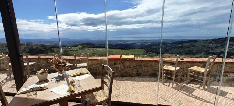 Wine making in Riparbella