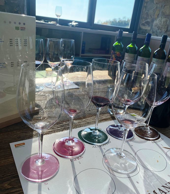The guided wine tasting experience includes a tasting of 6 different wines from the farm