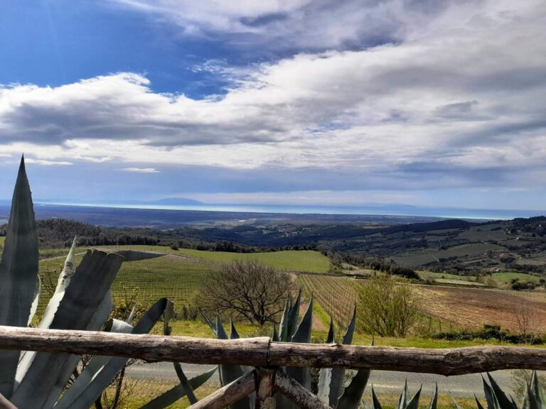 Gorgeous view from the winery in Riparbella