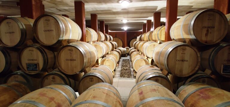 The visit to the winery always incude a guided stop to the ageing area