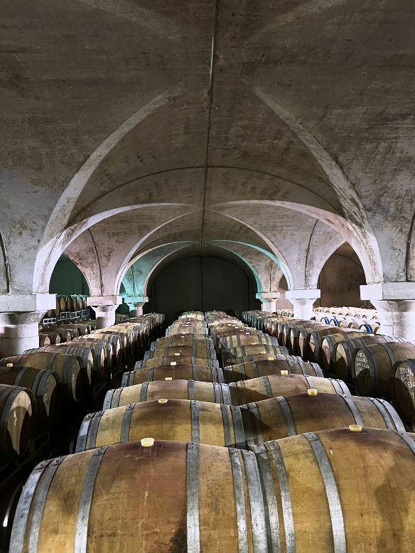 Our tour to Bolgheri includes the visit to two of the best wineries of the area with wine tasting