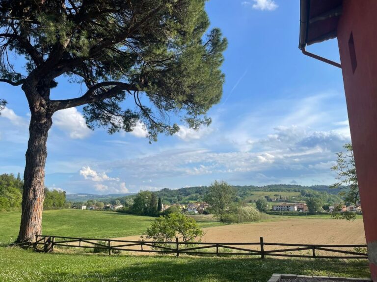 Wine tasting experience in san Miniato