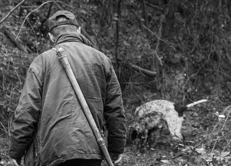 Daniele is our trusted truffle hunter that operates in the area of Volterra