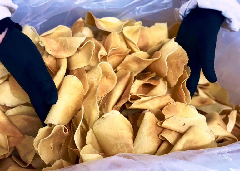 Typical Tuscan biscuits made in Lamporecchio Tuscany
