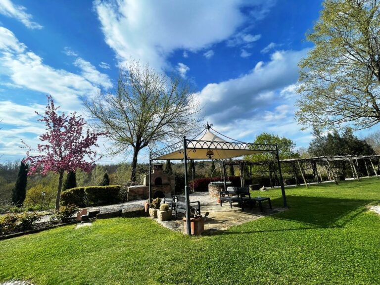 Wine tasting experience in the outdoor