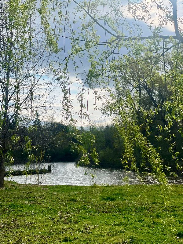 A wonderful place for relaxing