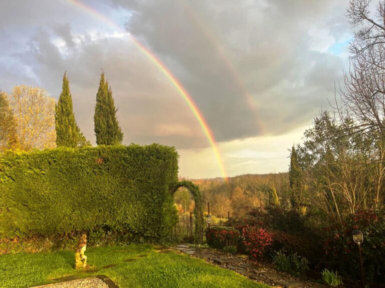 A great view after a storm