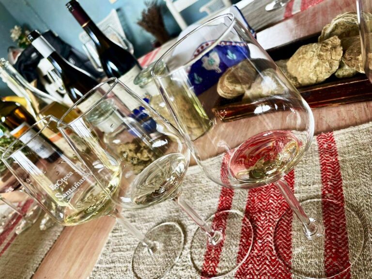 Wine tasting experience near Fucecchio in Tuscany