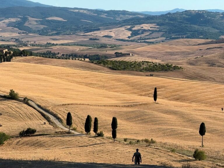 The nature of Lajatico