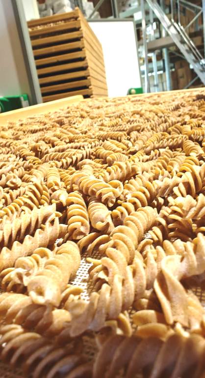 Visit to a organic producer of Pasta